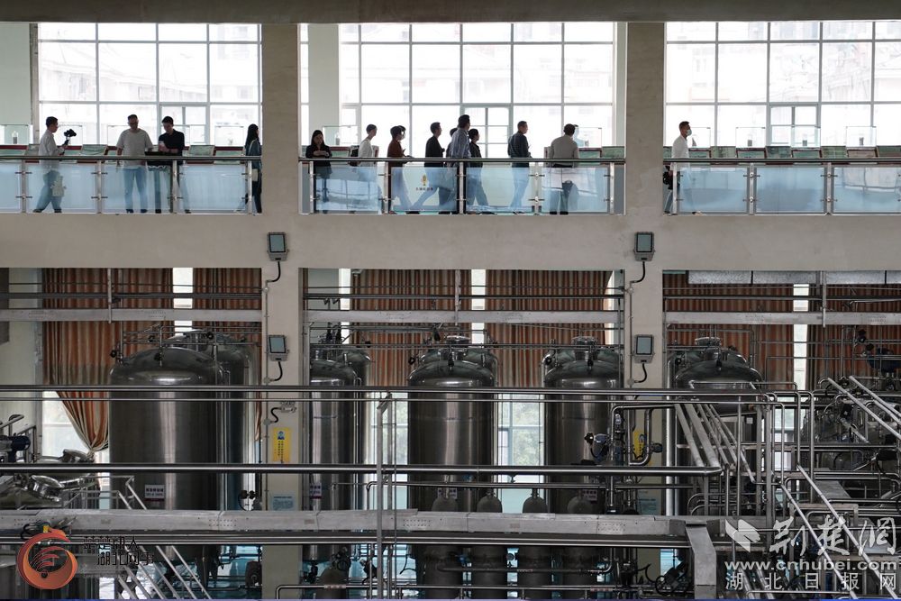 |【中部崛起势正劲·湖北篇】大冶酒企：用做药的标准做酒