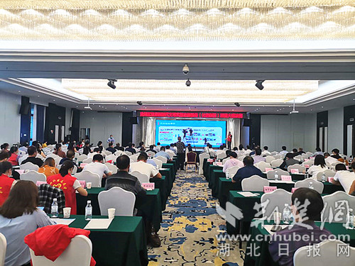 |黄州举行首届新时代文明实践志愿服务大赛20个项目参与角逐