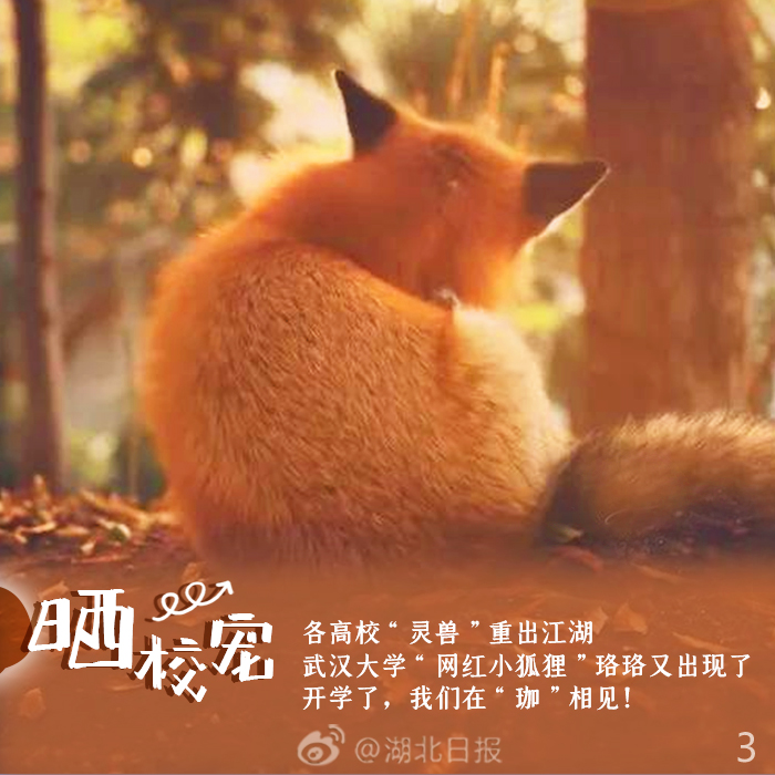 |一周一字丨你晒了吗？