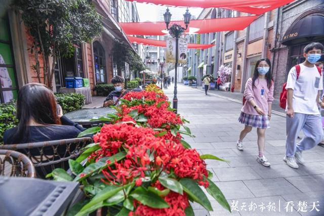 |国庆来武汉偶遇朵朵幸福小花吧！千万盆草花夹道欢迎，百余处街景缀花醉你心……