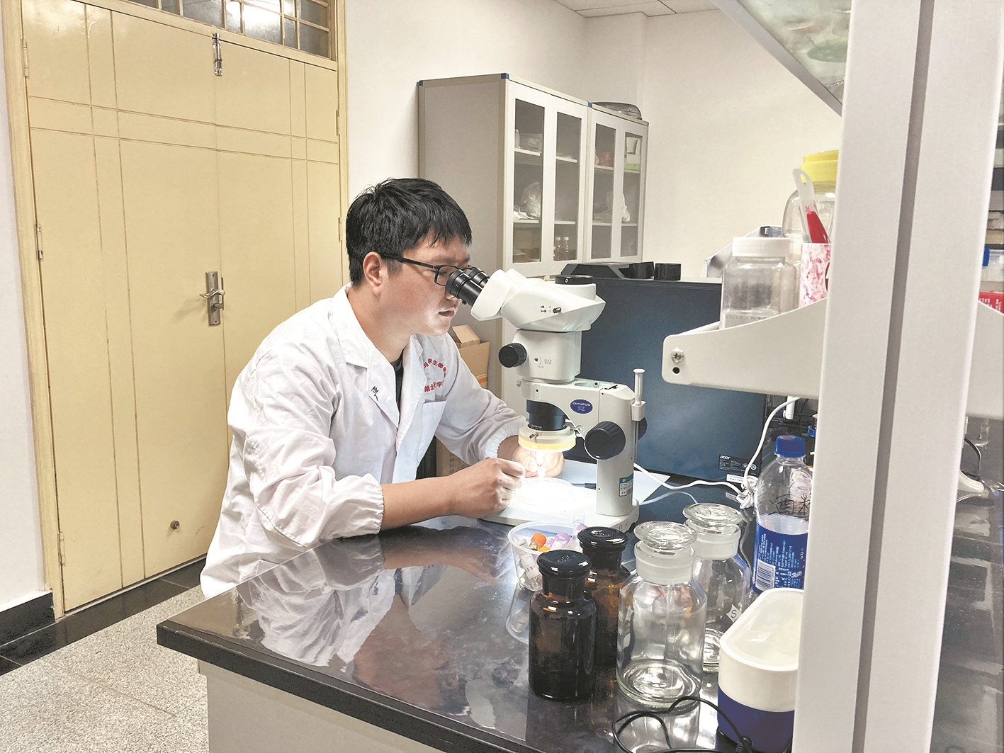 |蜘蛛博士在九宫山寻蛛30余天 每晚戴着头灯在林间穿梭 将为找到的近240种蜘蛛出书