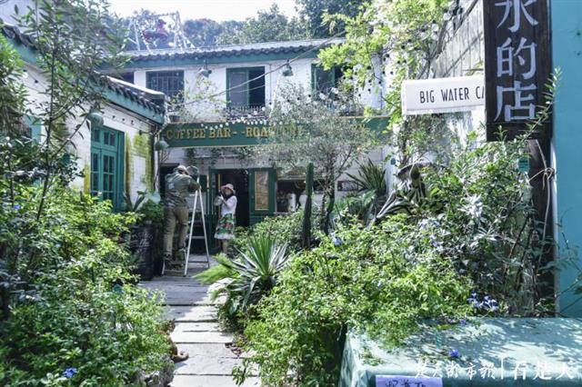 |国庆来武汉偶遇朵朵幸福小花吧！千万盆草花夹道欢迎，百余处街景缀花醉你心……