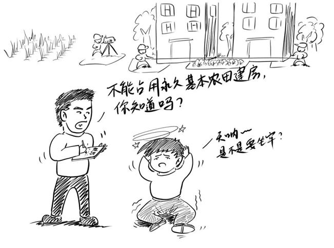 |农村乱占耕地建房“八不准” 漫画① | 不准占用永久基本农田建房