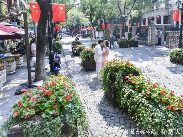 |国庆来武汉偶遇朵朵幸福小花吧！千万盆草花夹道欢迎，百余处街景缀花醉你心……