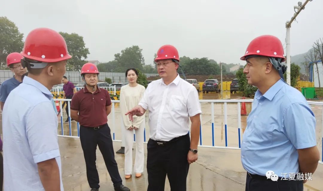|江夏区委书记王清华调研光谷南大健康产业园现场推进园区建设工作