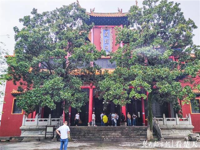 |武汉归元寺重新开放，雨中迎来首批游客（组图）