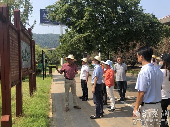 |生态环境部调研指导黄石磁湖湿地公园项目
