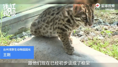 |神评论|家大业大，只是缺个厕所而已嘛！