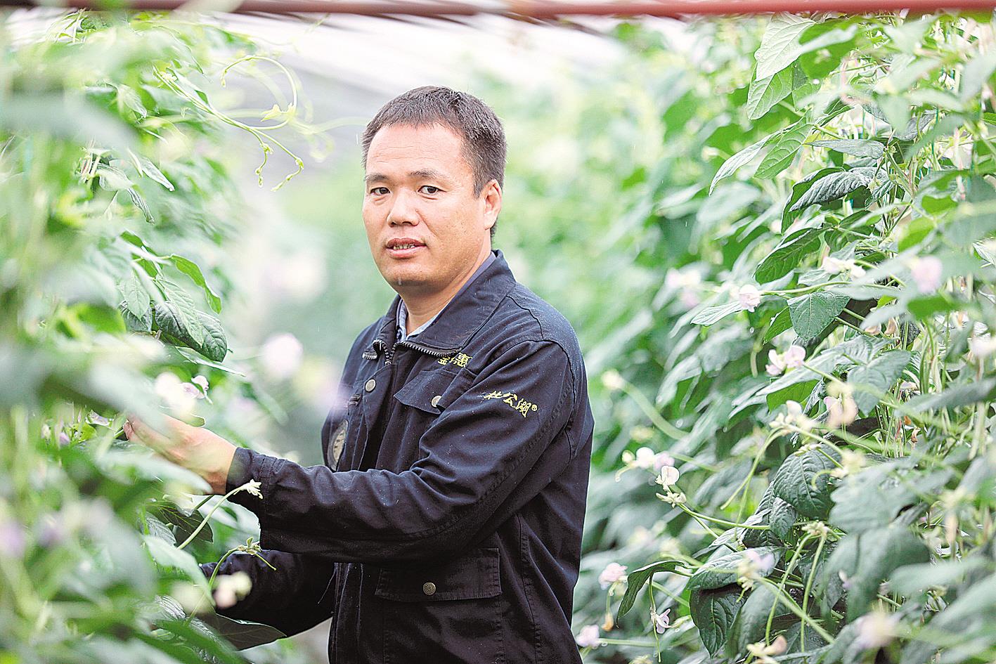 |种地是他孜孜以求的事业——记湖北省唯一入选年度全国十佳农民的王建兵