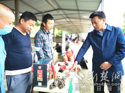 |鄂城区：为勤劳站台 替丰收喝彩