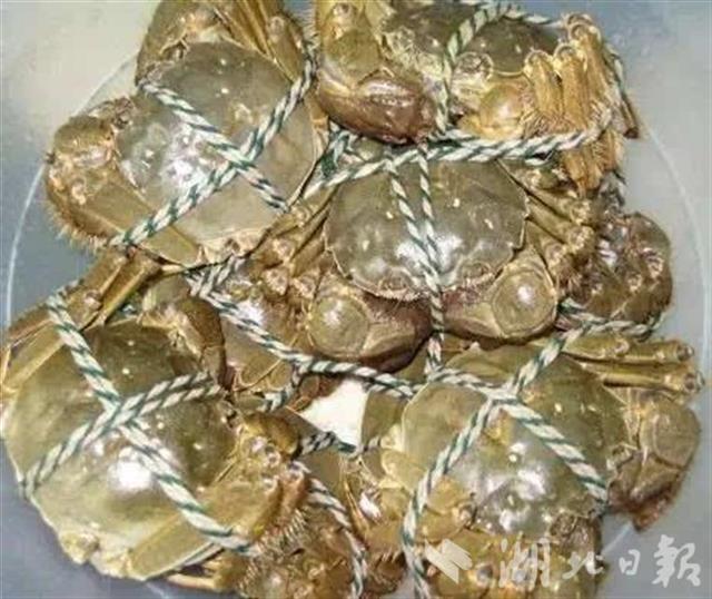 |最近螃蟹降价了！中秋节前本地螃蟹大量上市