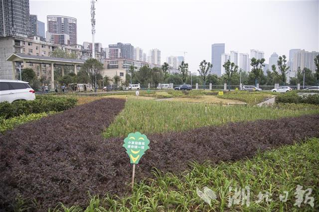 |大东湖污水深隧工程主隧道通水