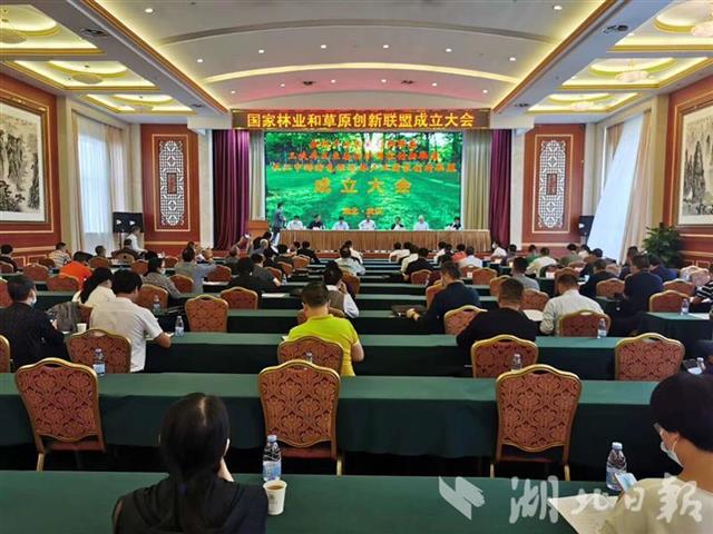 |三大林草国家创新联盟落户湖北