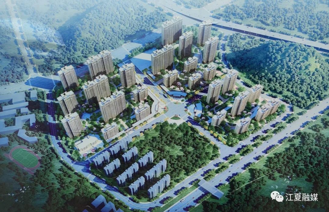 |江夏区委书记王清华调研光谷南大健康产业园现场推进园区建设工作