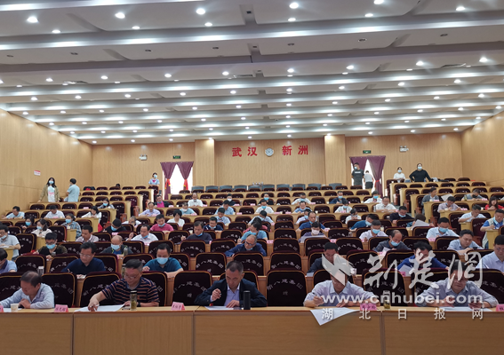 |武汉新洲：廉政谈话+测试 为115名履新干部扣紧“廉政扣”