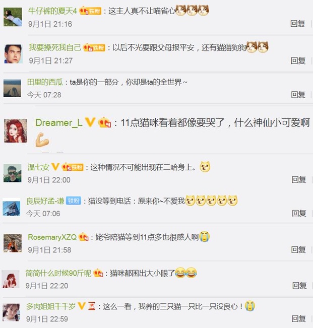 1号站官网神评论|来自喵星人的牵挂