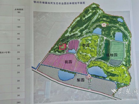 |就业扶贫看鄂州（8）鄂州市樟树岭村：发展产业奔小康