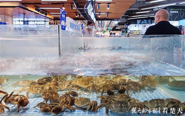 |8元螃蟹还可送货到家武汉开启性价比最高吃蟹季