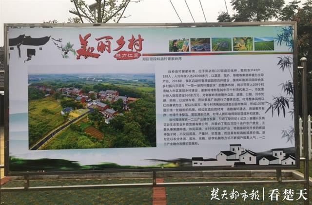 |未来3年，武汉将建600个以上美丽乡村示范村