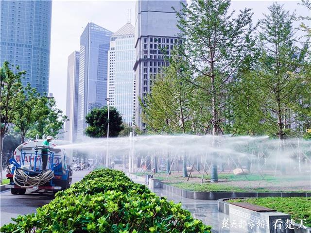 |白露至秋凉已发货本周末到汉