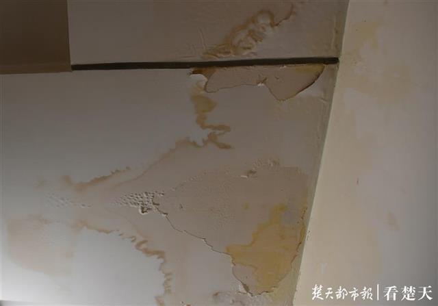 |主下水管道漏水，楼上业主叫苦楼下也遭殃，物业称将更换管道