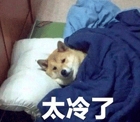 |今晚9:31，它来了！湖北接下来的天气……