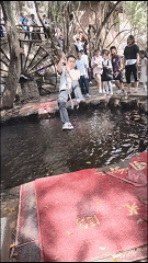 |神评论|牙医：说出来你可能不信，我曾经是一个歌手