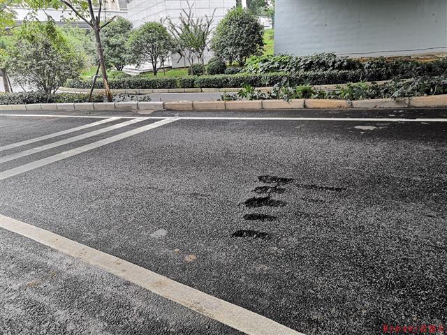 |大货车被卡约30小时终脱困，武昌岳家嘴立交恢复畅通