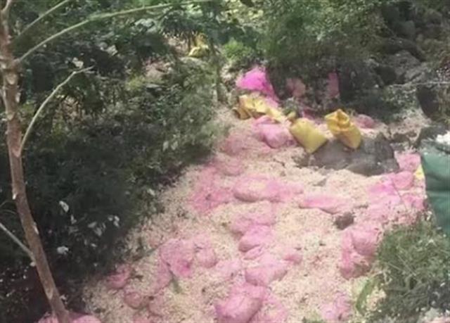|河南商城8死11伤惨剧，因村民路边哄抢蒜瓣引发？死者家属：并未抢蒜