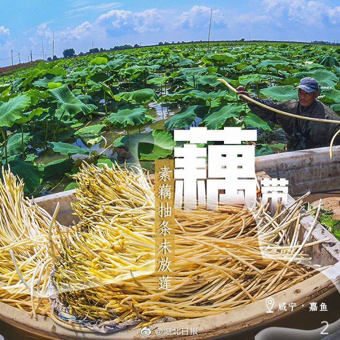 |一周一字丨啊！丰收的喜悦，击中了我