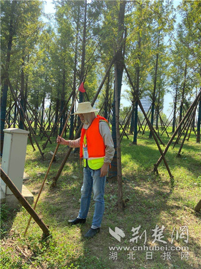 |武昌四美社区下沉党员主动作为 助力全国文明城市创建