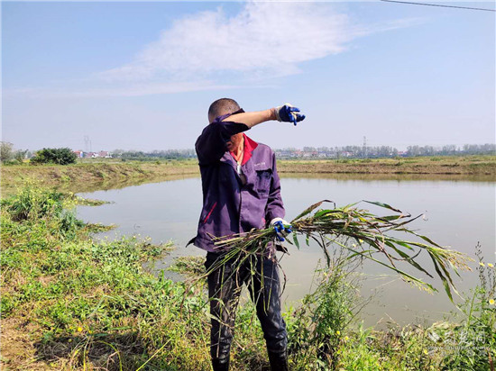 |就业扶贫看鄂州（13）精准脱贫户陈新强：用勤劳的双手扛起幸福家