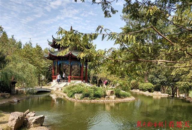 |国庆，来月湖边寻“高山流水”吧