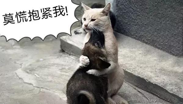 |气温猛降！新一轮大风+降雨马上杀到！接下来的天气看笑了...