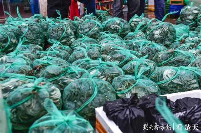 |划算！蟹农抢黄金周集中出货，在武汉，5元一只的螃蟹“岔”着吃