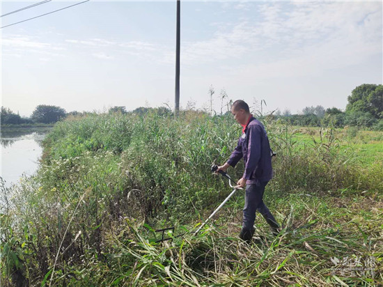|就业扶贫看鄂州（13）精准脱贫户陈新强：用勤劳的双手扛起幸福家