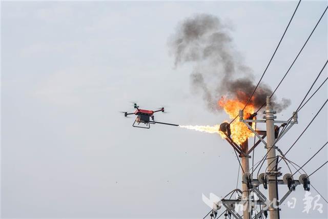 |无人机“掏”马蜂窝