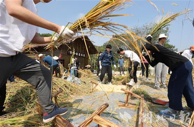 接地气!武汉大学生走进田间干农活