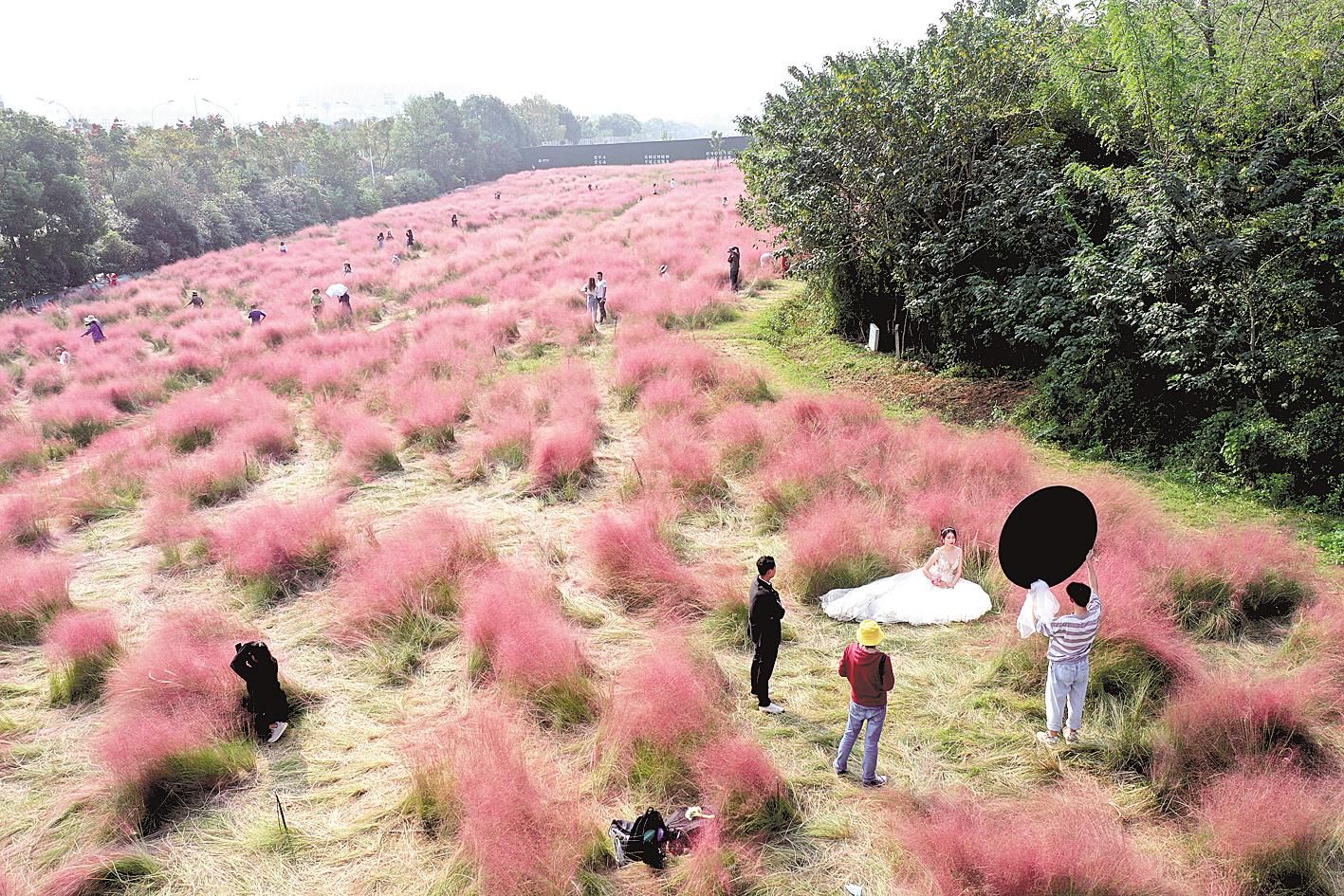 |武汉：垃圾填埋场成网红打卡地