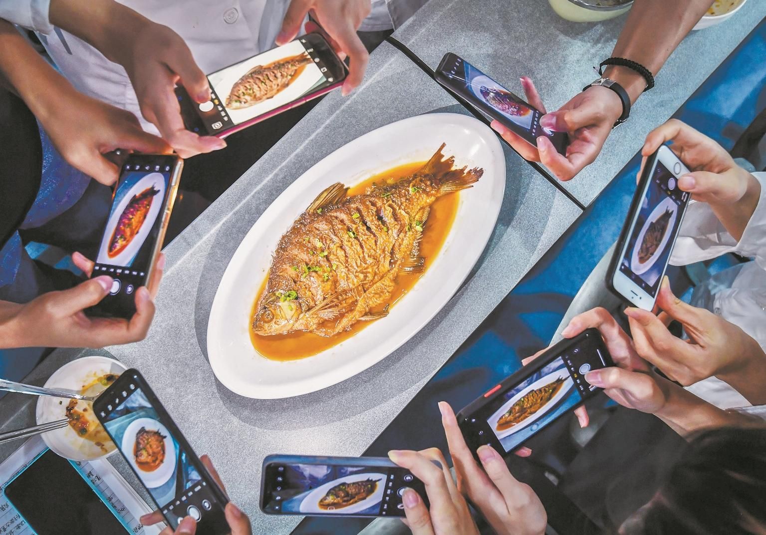 |【影像】百变武昌鱼