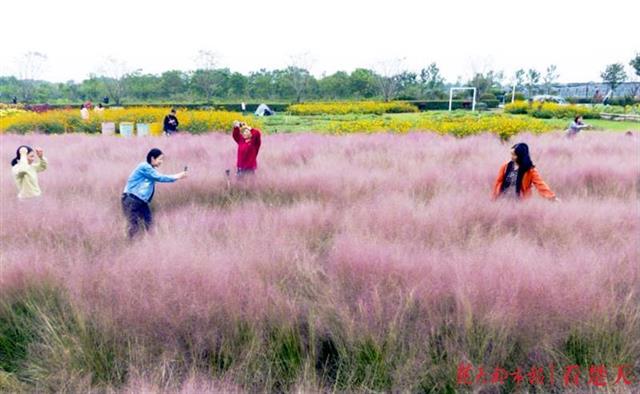 |秋路雨添花，花动一山秋色