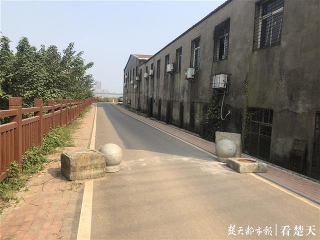 |机动车开进汤逊湖绿道，违停还影响市民散步