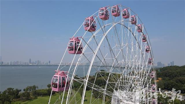 |今天，武汉东湖景区好热闹