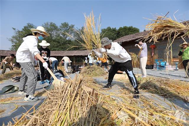 接地气!武汉大学生走进田间干农活