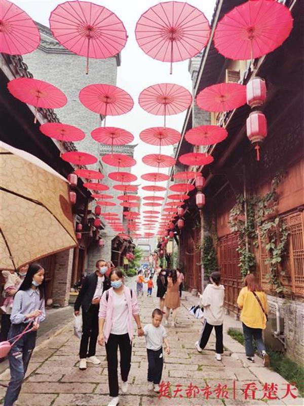 |武汉园博园开放免费预约旅游，吸引了更多外地游客