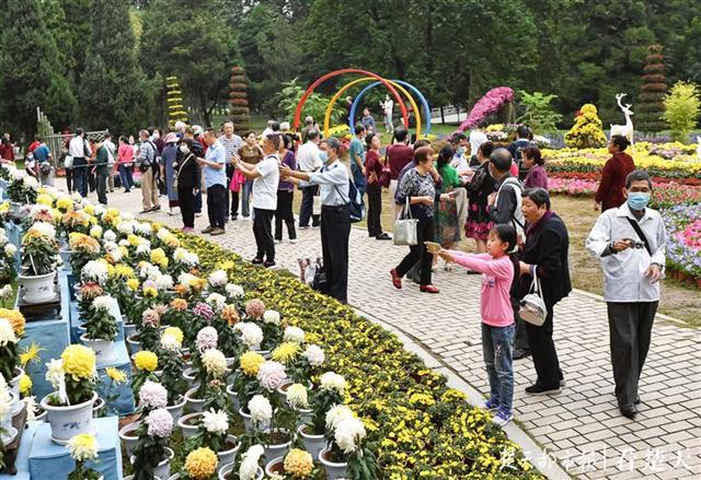 |武汉解放公园：7万盆花卉绽放迎客来！