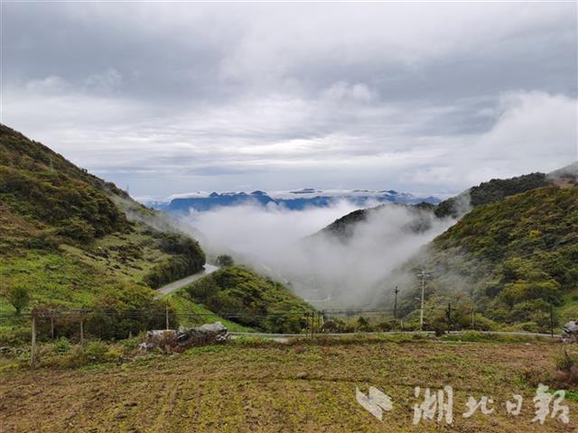 |湖北长阳：绵绵秋雨暂停 山间现壮观云海