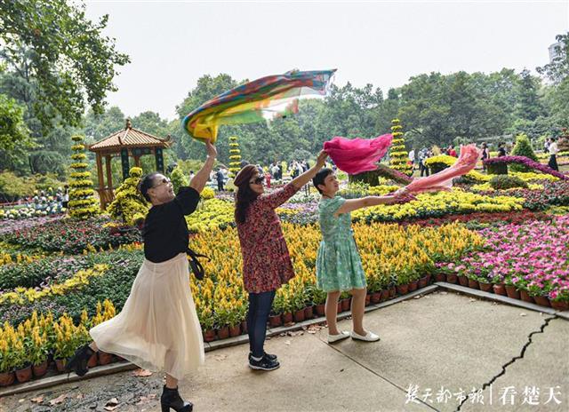 |武汉解放公园：7万盆花卉绽放迎客来！