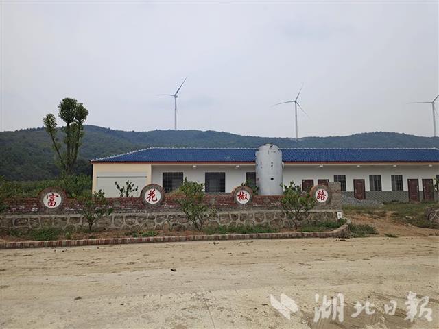 |荆门整顿软弱涣散村——后进变先进 升级有“后劲”