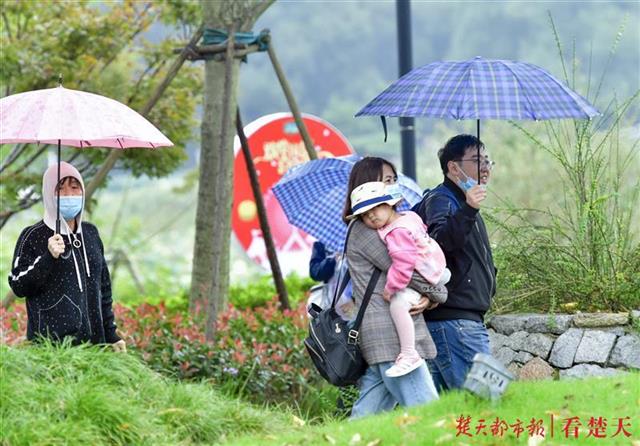 |秋雨来袭气温降，游客江城“打卡”游兴不减